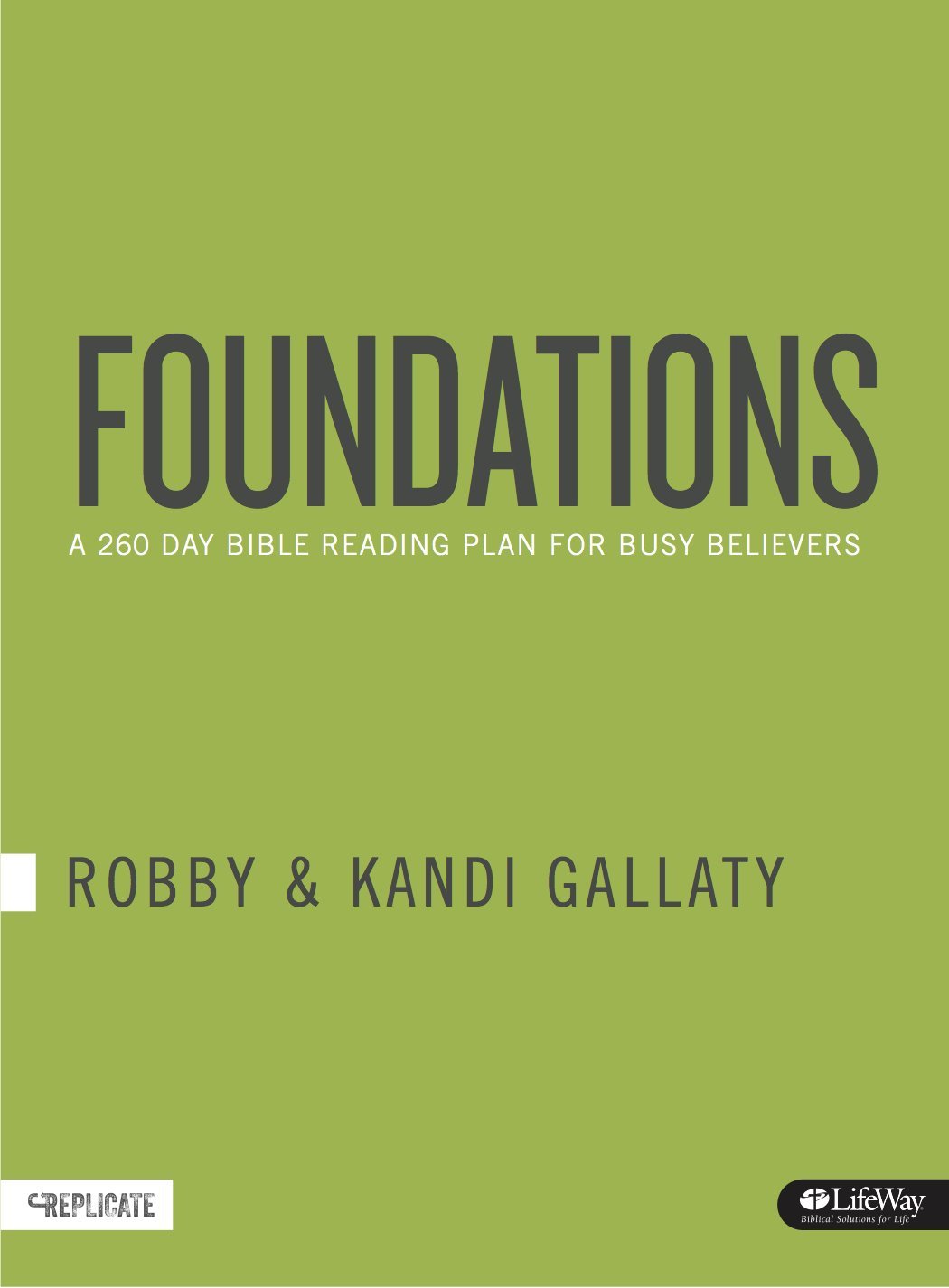 Foundations: A 260-Day Bible Reading Plan for Busy Believers (Journal) by Robby Gallaty (2015-11-01)