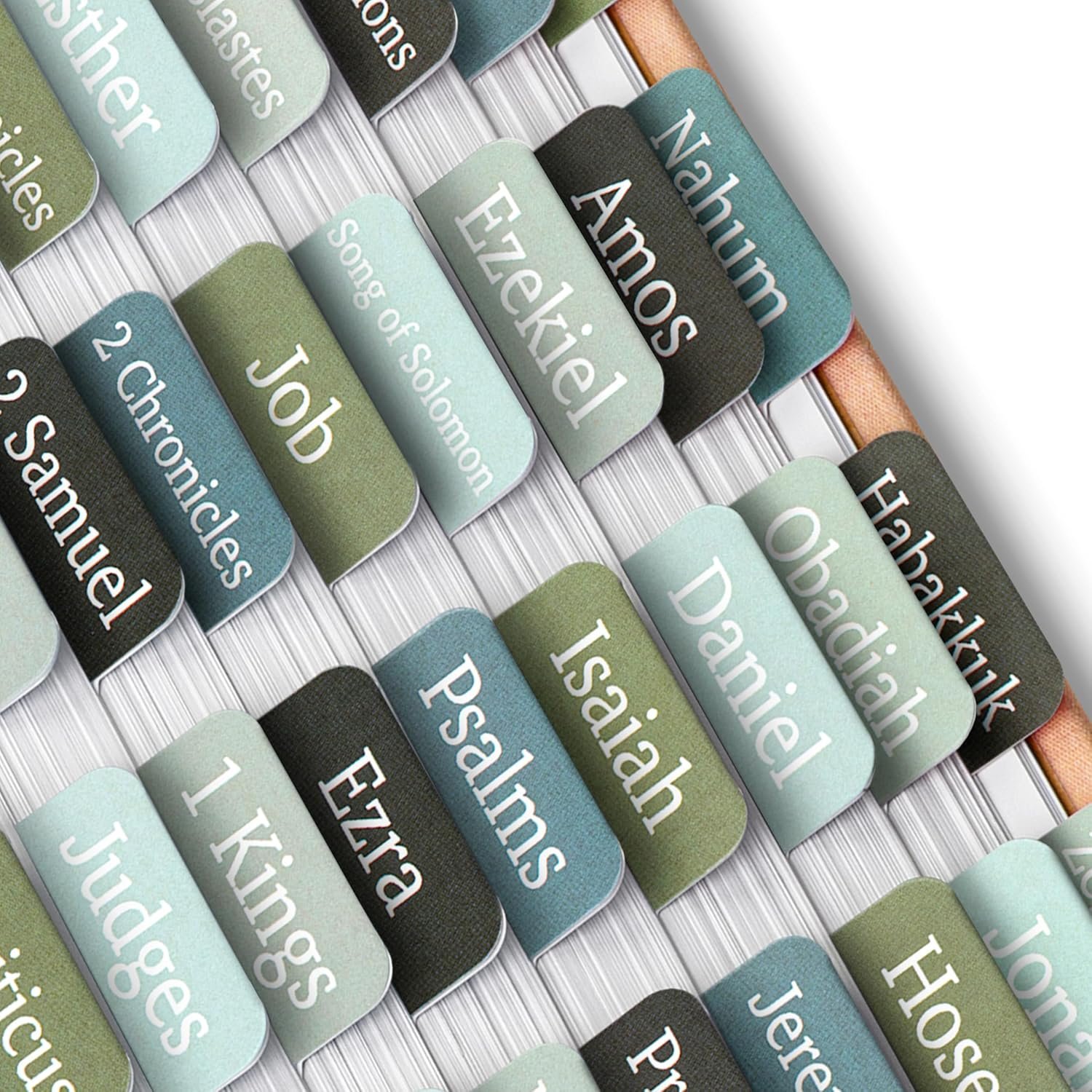 Mr. Pen- Bible Tabs, 75 Tabs, Frozen Lake Theme