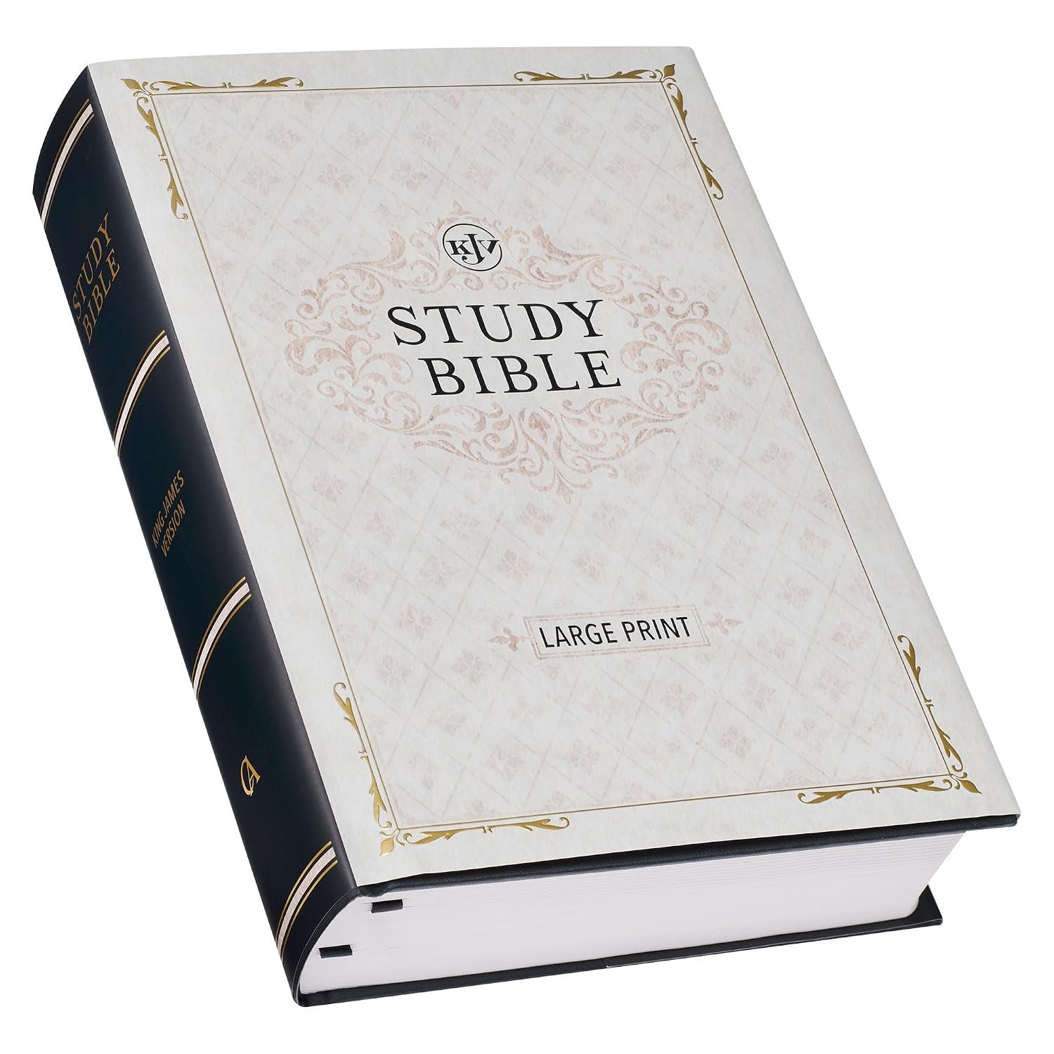KJV Study Bible, Large Print King James Version Holy Bible, Black Hardcover (KJV Study Editions LP)