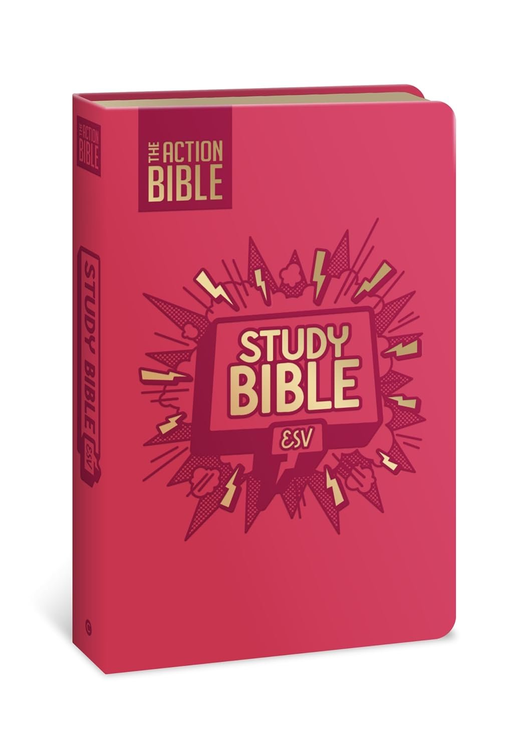 The Action Bible Study Bible ESV, Leathersoft, Pink, Full Color (Action Bible Series)