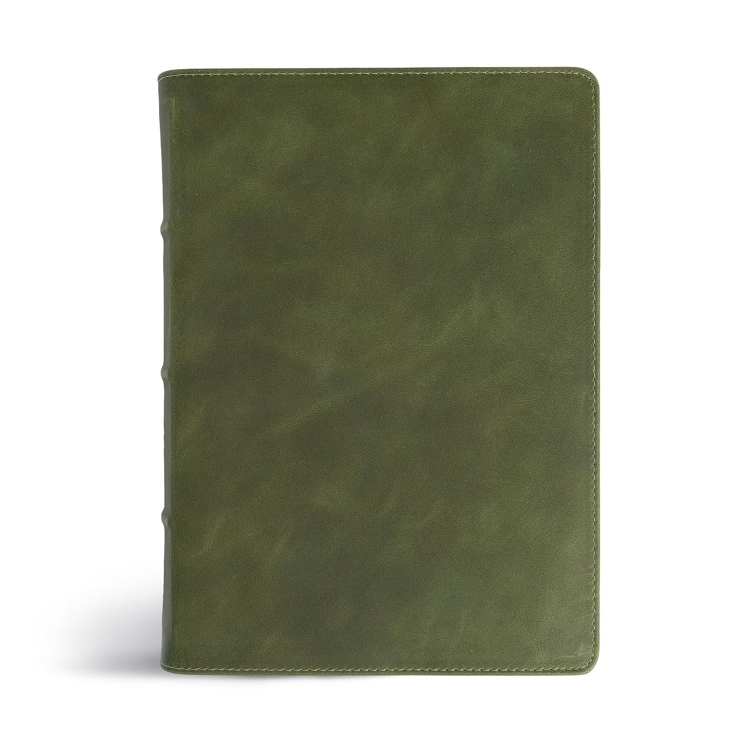 CSB She Reads Truth Bible, Holman Handcrafted Collection, Olive Premium Calfskin, Black Ltr, Color, Wide Margins, Journaling Space, Devotionals, Reading Plans, Timelines, Charts, Maps, Single-Column