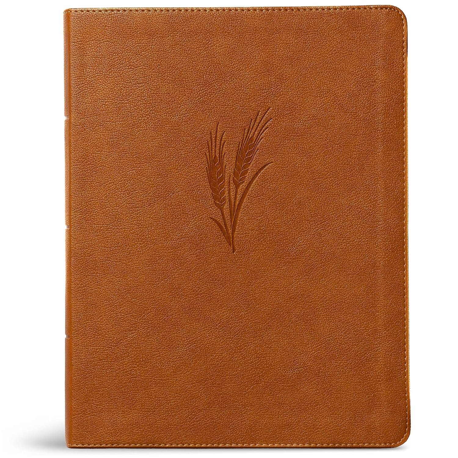 CSB Notetaking Bible, Large Print Edition, Camel LeatherTouch, Black Letter, Wide Margins, Journaling Space, Single-Column, Reading Plan, Easy-to-Read Bible Serif Type